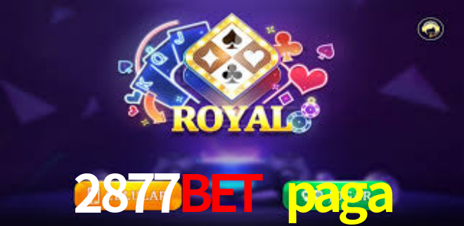 Interface do App 2877bet paga