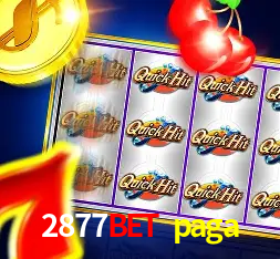 Especiais de Fim de Semana 2877bet paga