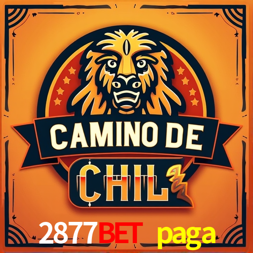 Estratégias Crash Games 2877bet paga