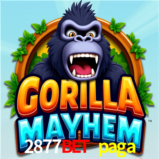 Experiência VIP 2877bet paga