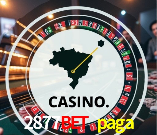 Casino Ao Vivo 2877bet paga