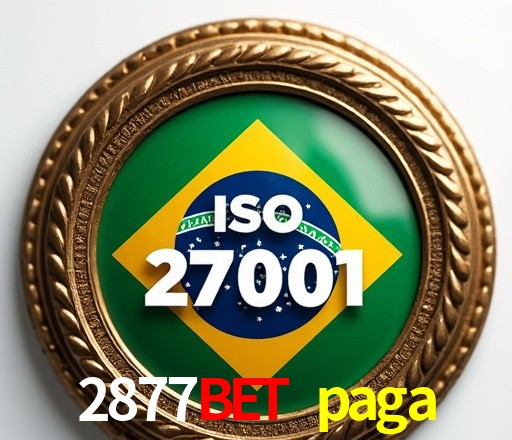 Tecnologia da Plataforma 2877bet paga