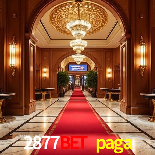 Apostas de Tênis 2877bet paga